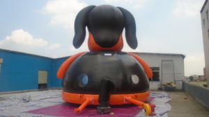 dog bouncer 4