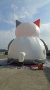 cat-dome-bouncer-2