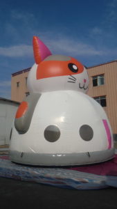 cat-dome-bouncer-6