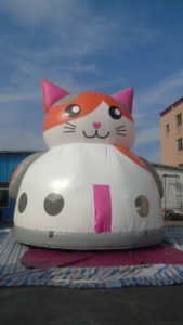 cat-dome-bouncer-7