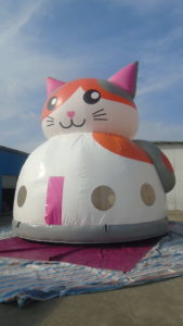 cat-dome-bouncer-8